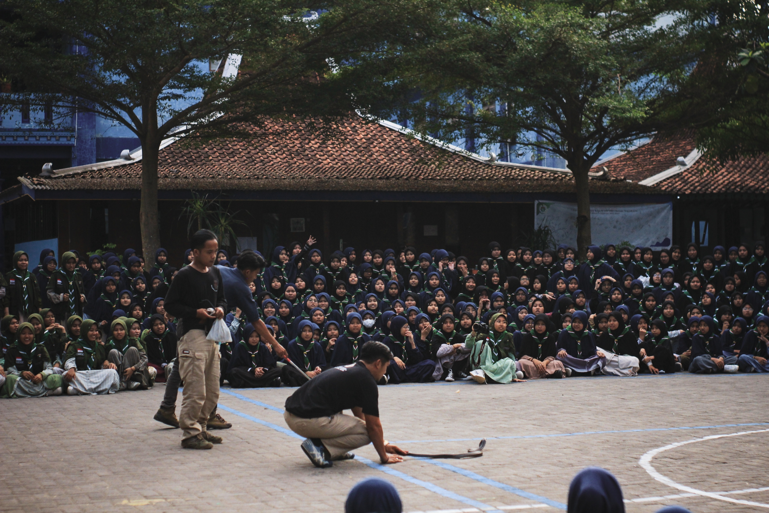 Read more about the article Komunitas “Ulo Galak Jogja” Beri Edukasi Reptil kepada Dewan Kerabat HW Putri MBS